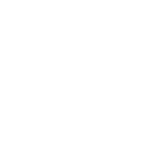 GRUPO PEREIRA